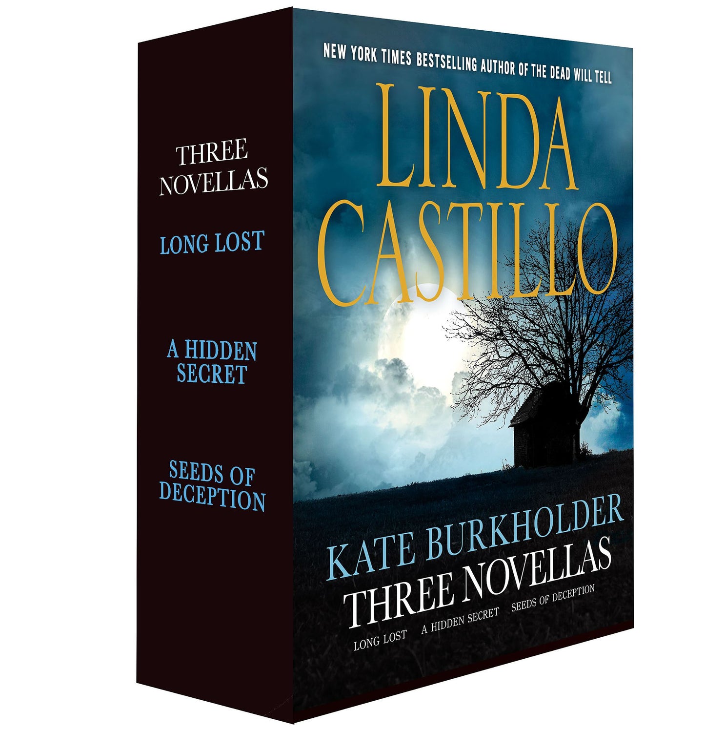 Kate Burkholder: Three Novellas: Long Lost, A Hidden Secret, and Seeds of Deception