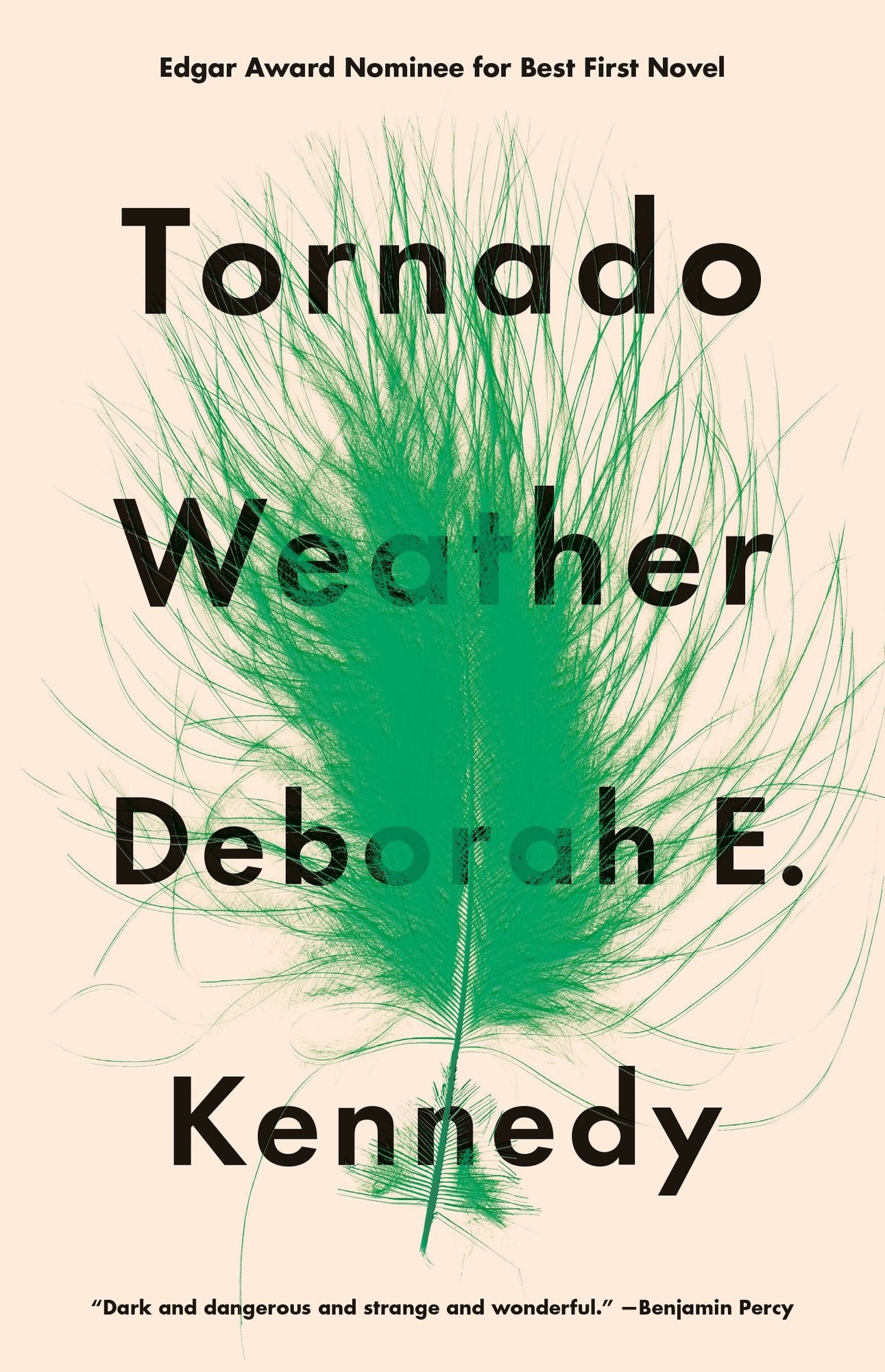 Tornado Weather: A Novel