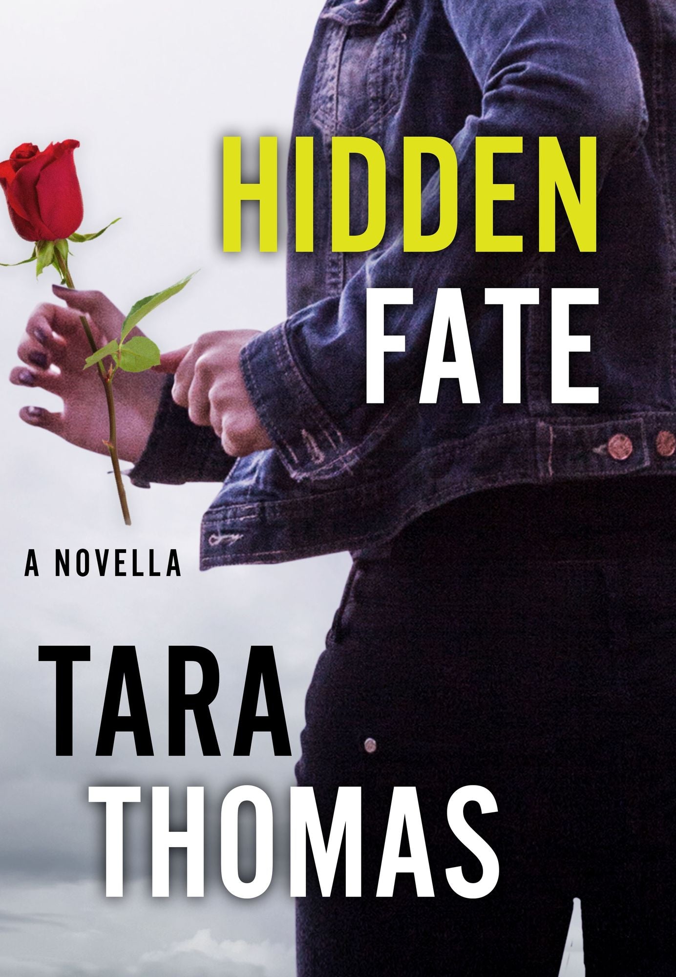 Hidden Fate: A Novella of Romantic Suspense