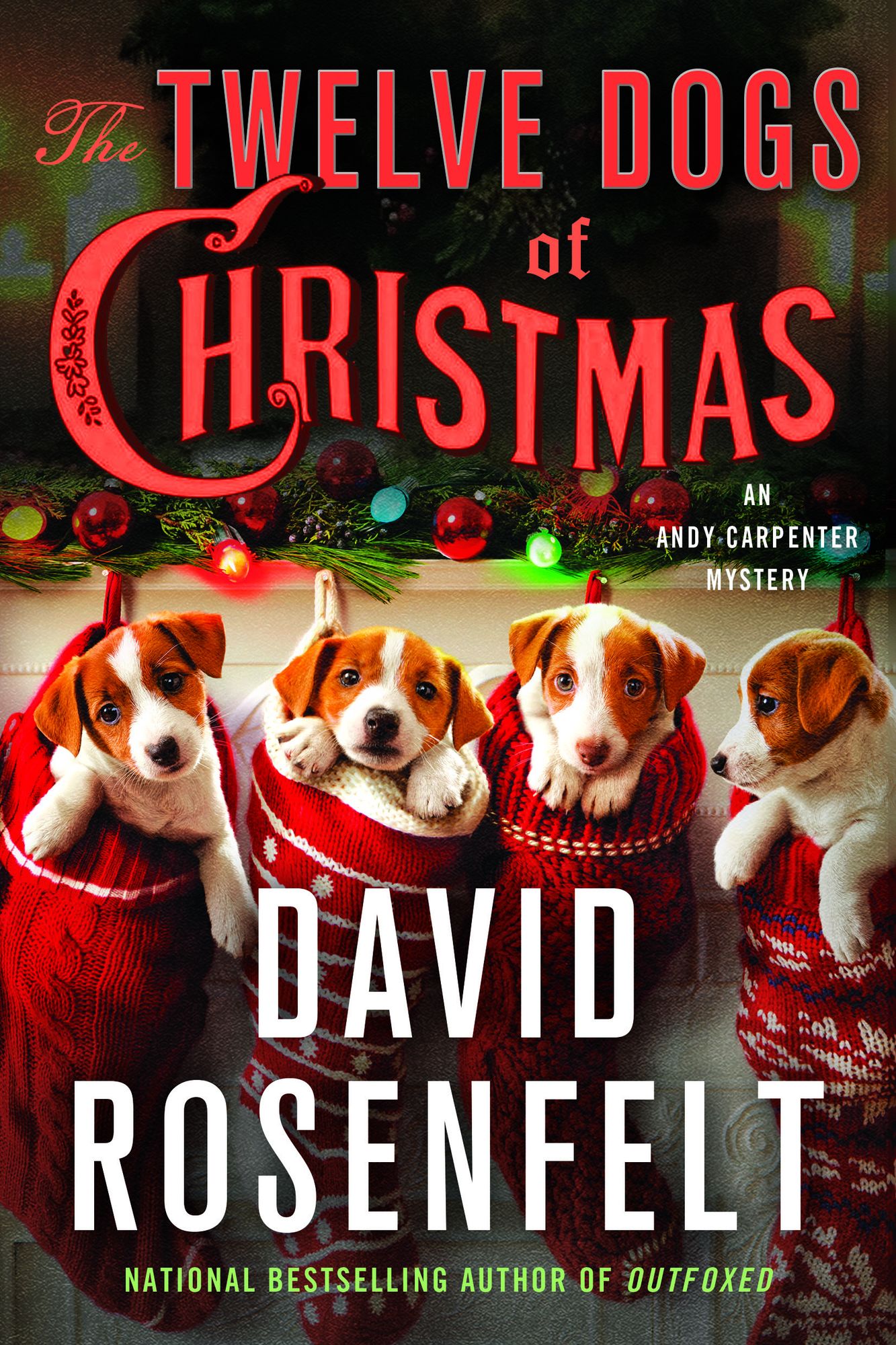 The Twelve Dogs of Christmas: An Andy Carpenter Mystery