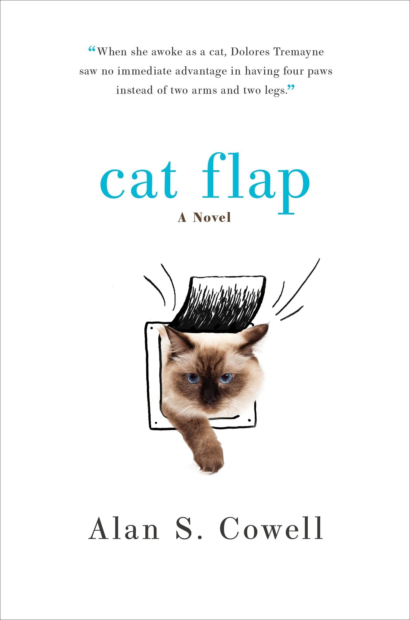 Cat Flap
