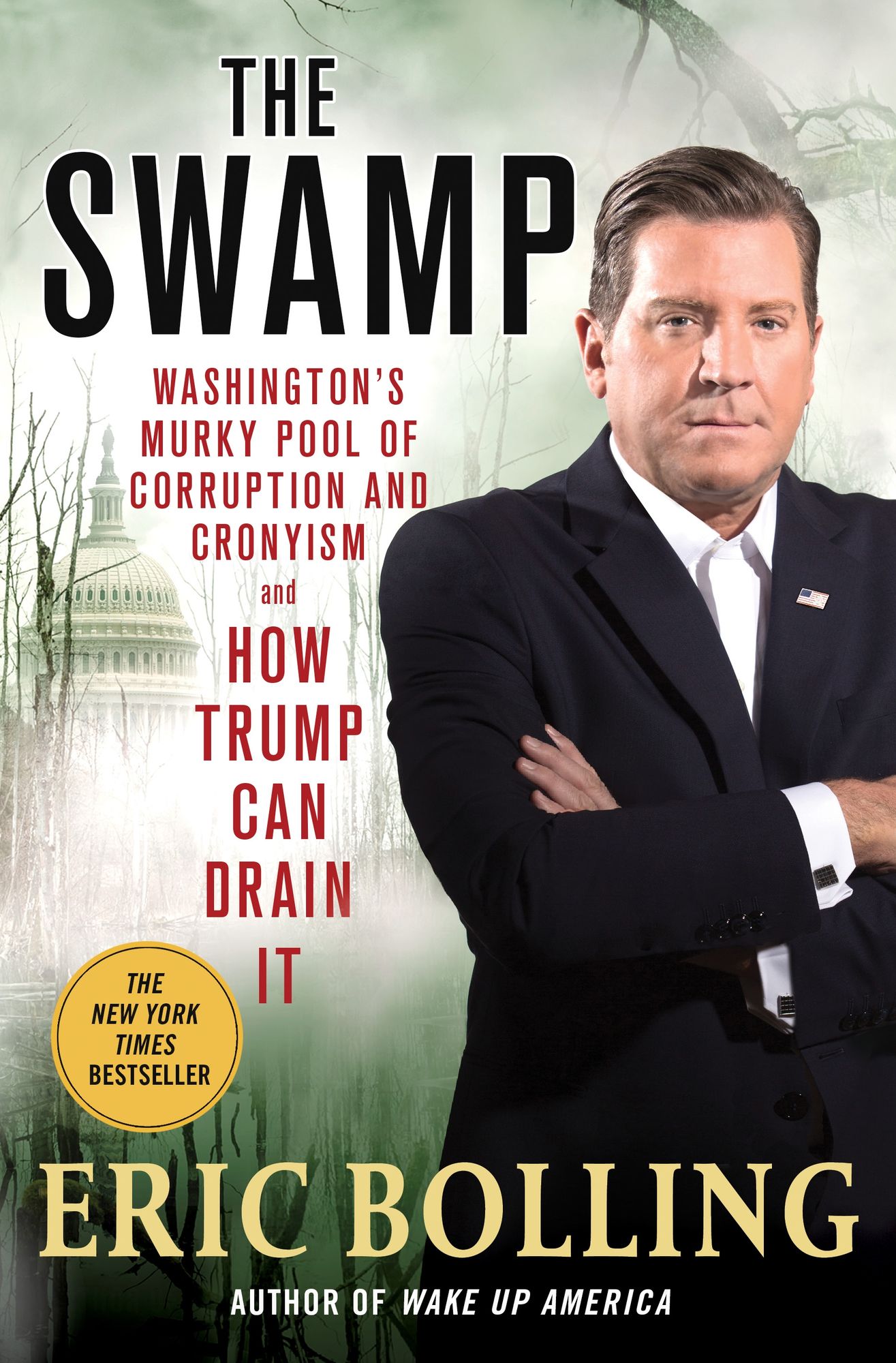 The Swamp: Washington's Murky Pool of Corruption and Cronyism and How Trump Can Drain It
