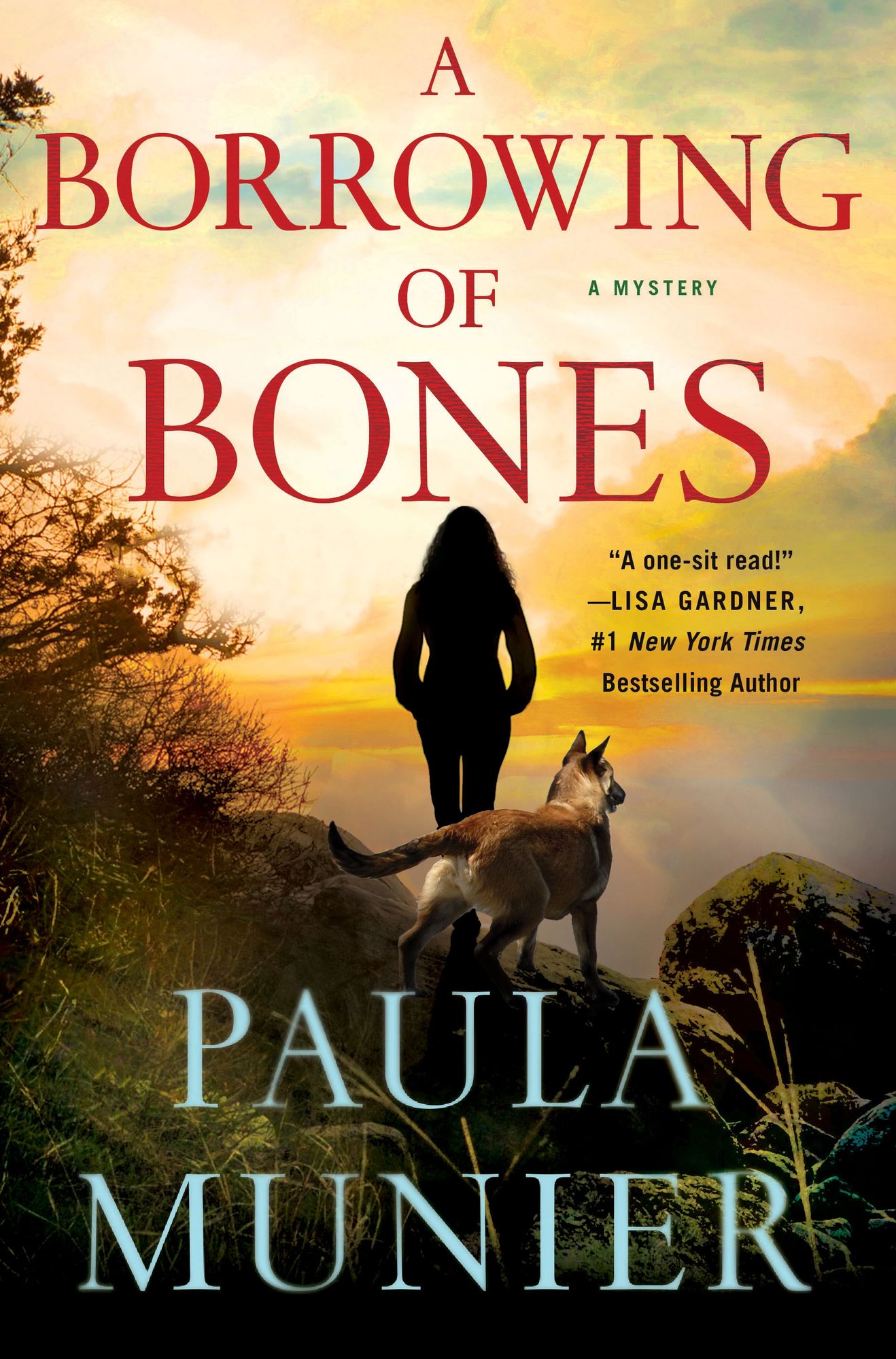 A Borrowing of Bones: A Mystery