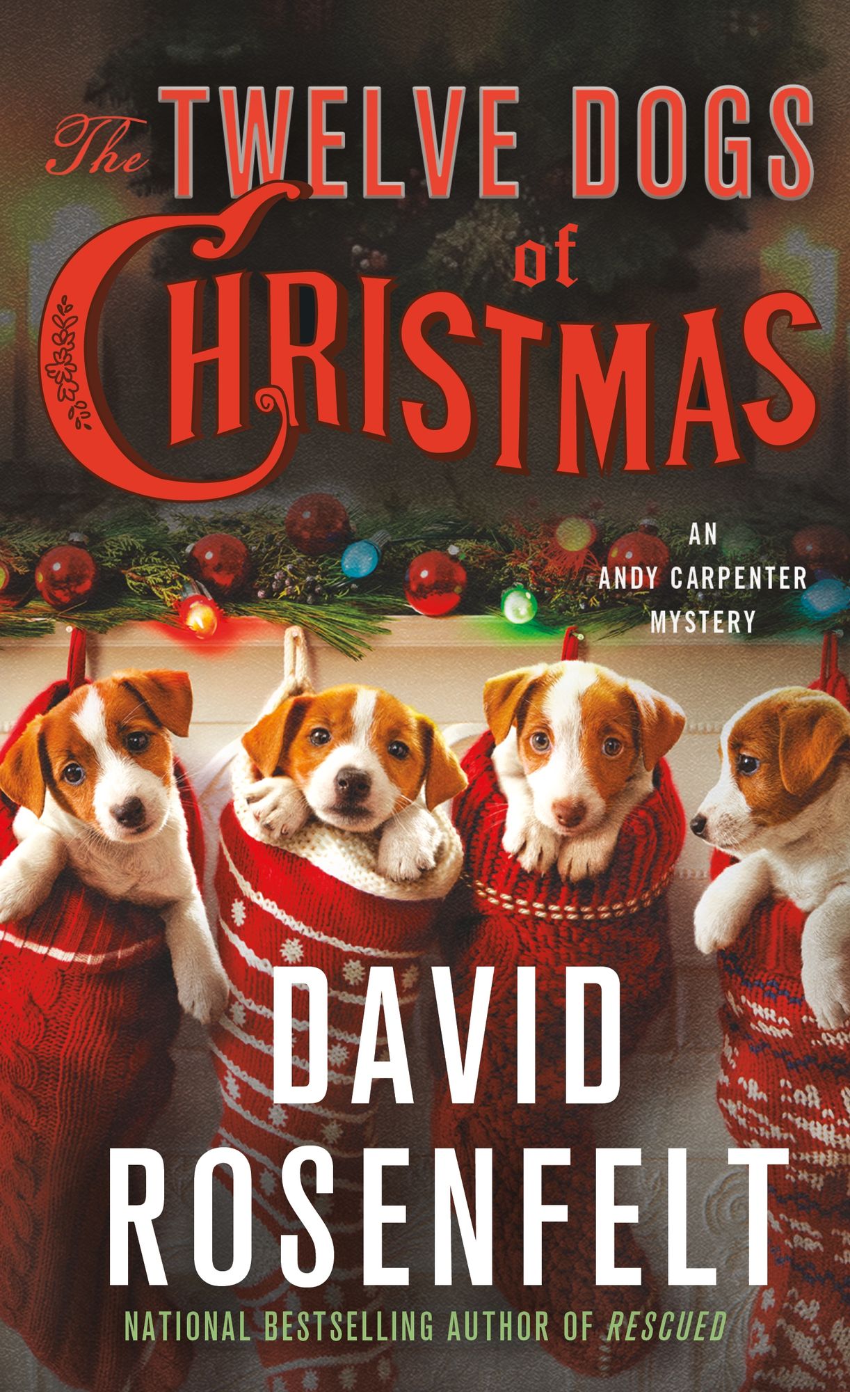 The Twelve Dogs of Christmas: An Andy Carpenter Mystery