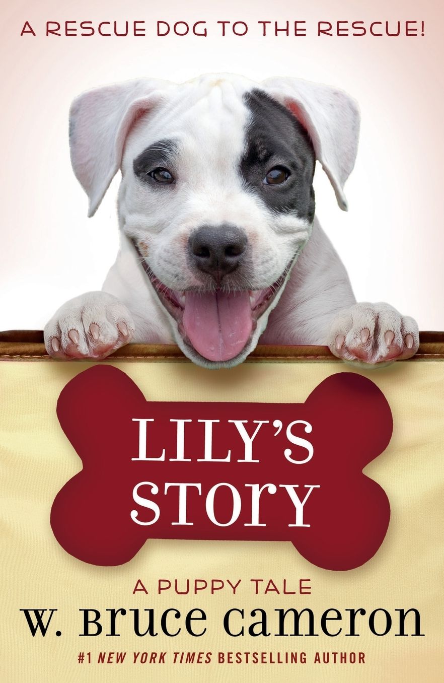 Lily's Story: A Puppy Tale