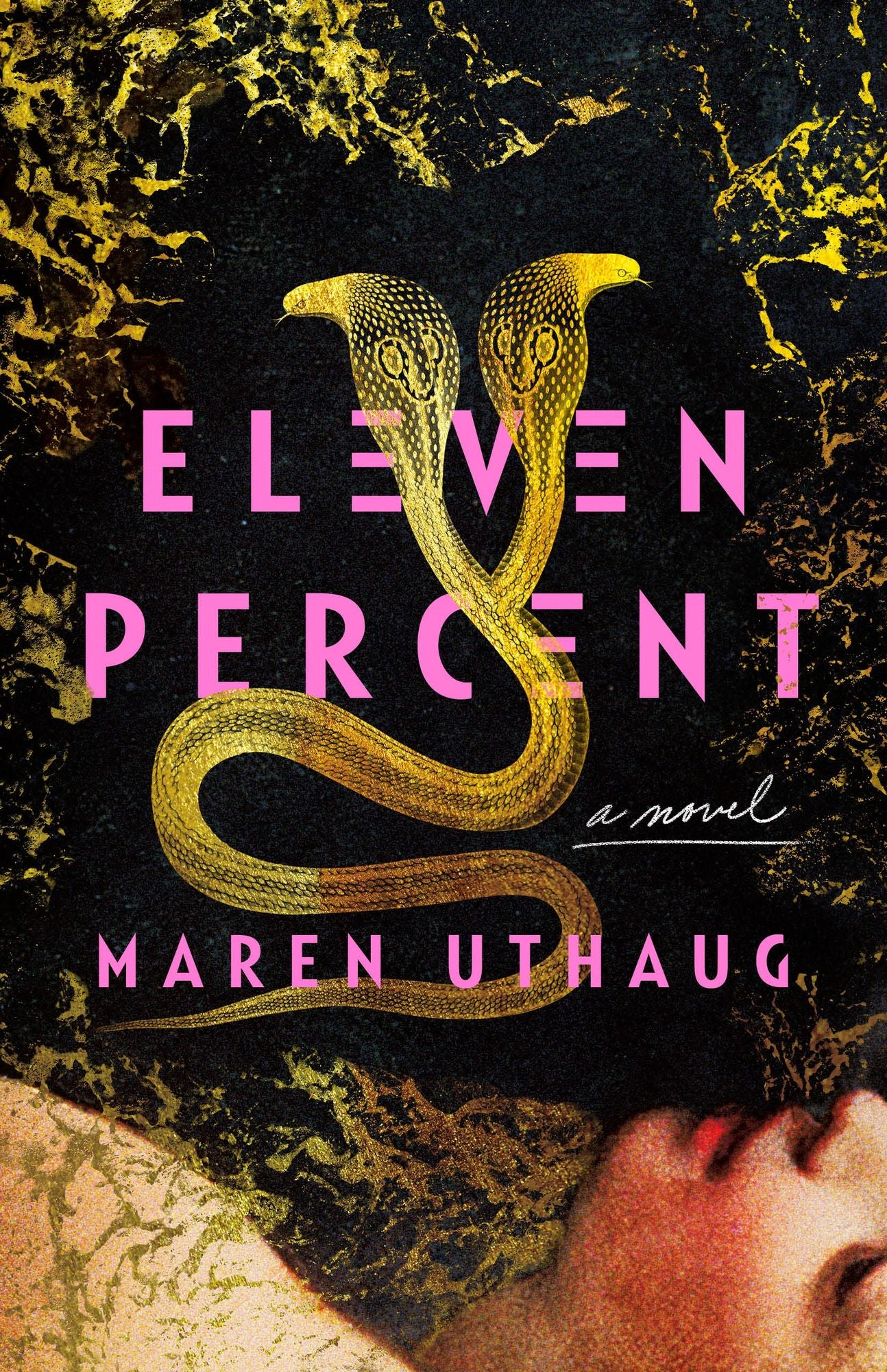 Eleven Percent: A Novel