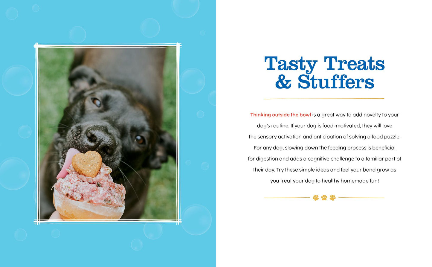 The Happiest Dog on the Block: Canine Enrichment Activities to Keep Your Pet Young and Healthy