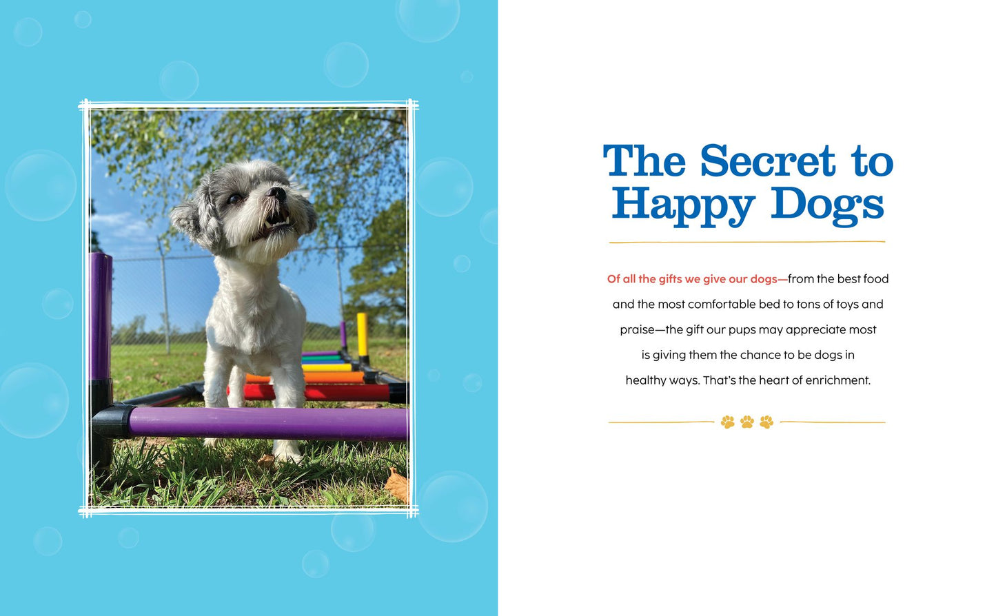 The Happiest Dog on the Block: Canine Enrichment Activities to Keep Your Pet Young and Healthy