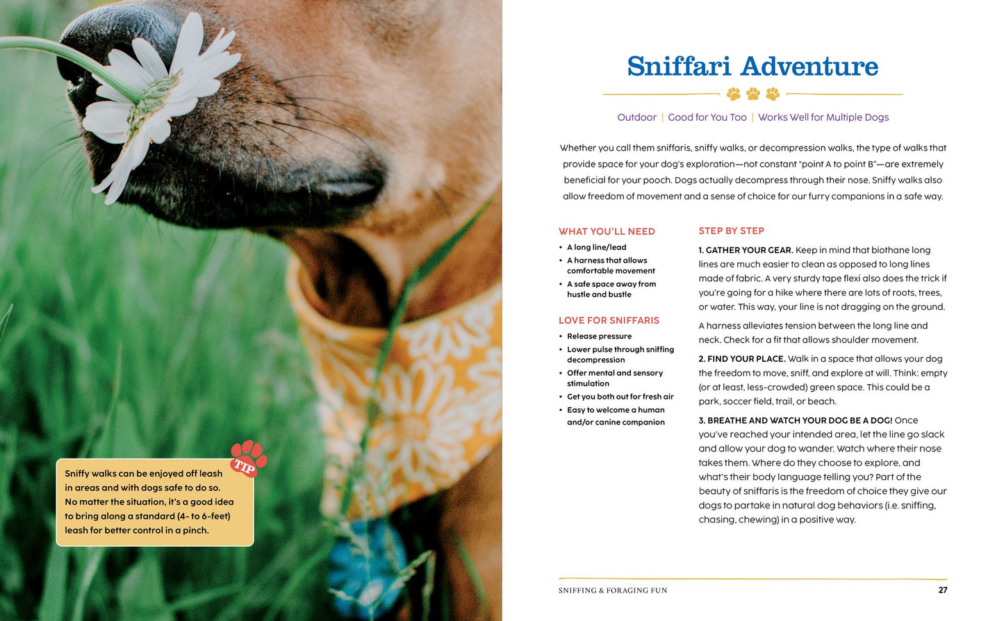 The Happiest Dog on the Block: Canine Enrichment Activities to Keep Your Pet Young and Healthy