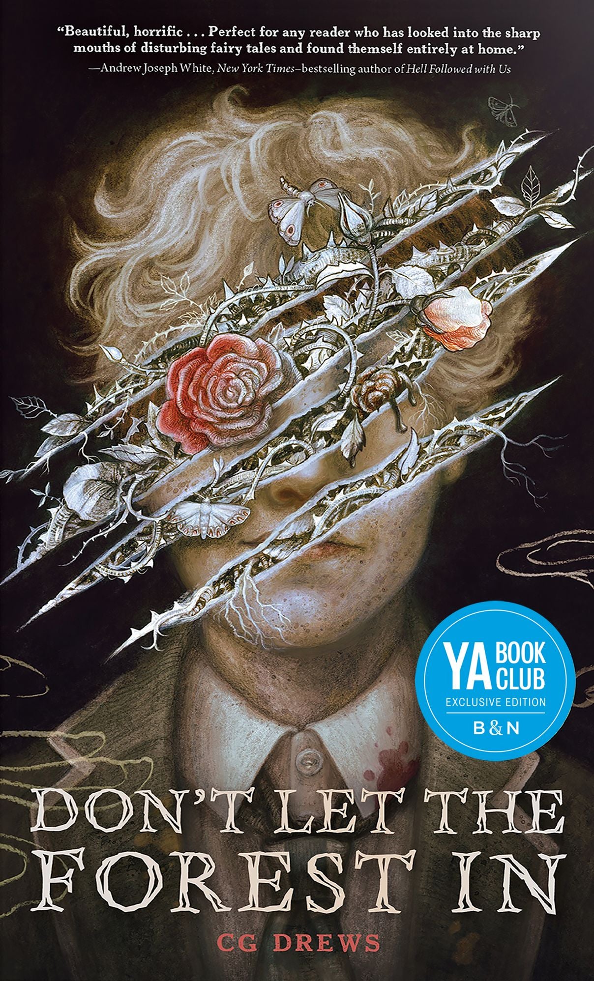 Don't Let the Forest In (B&N Exclusive Edition)