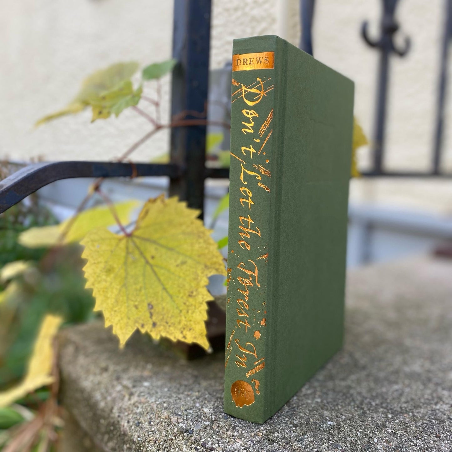 Don't Let the Forest In (B&N Exclusive Edition)