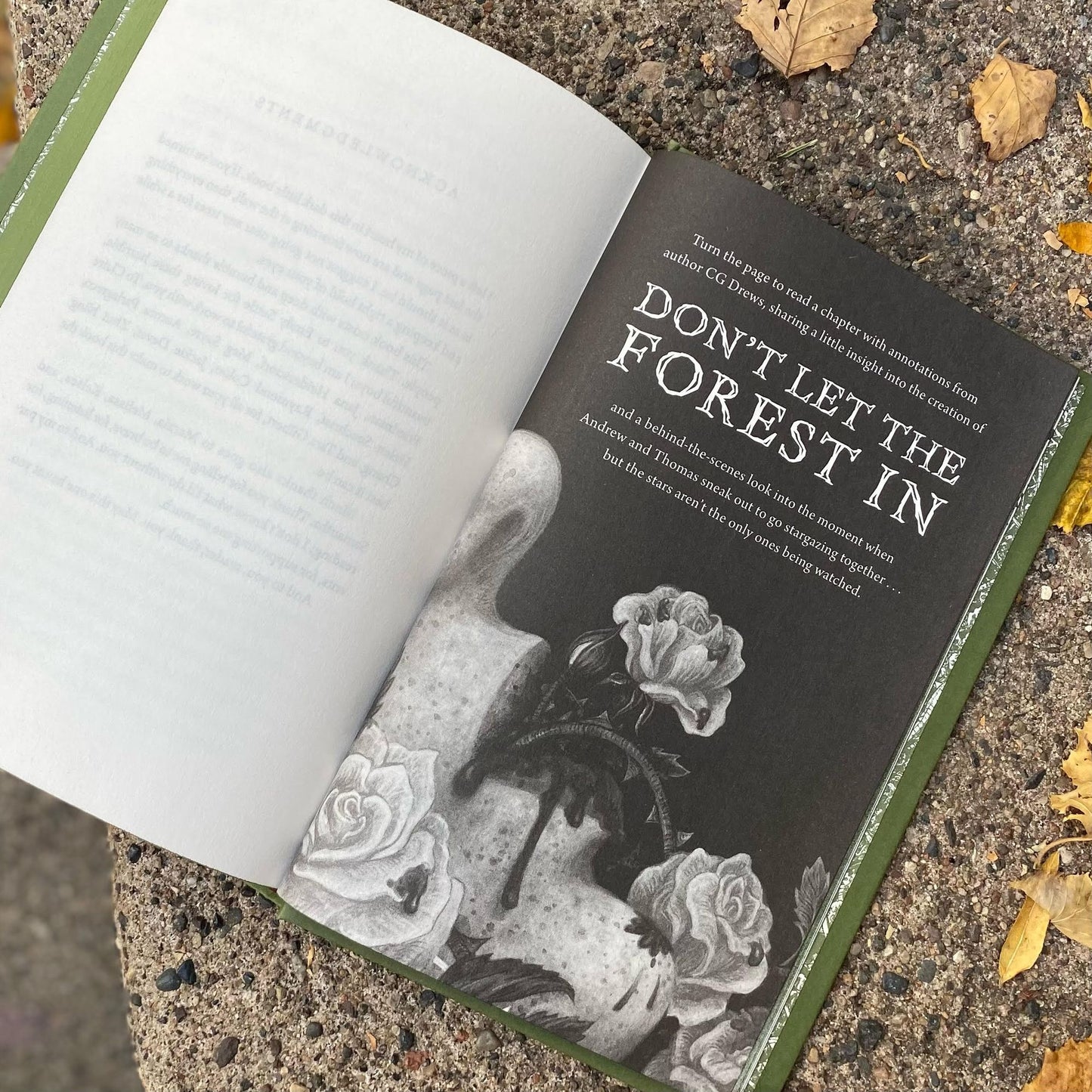 Don't Let the Forest In (B&N Exclusive Edition)