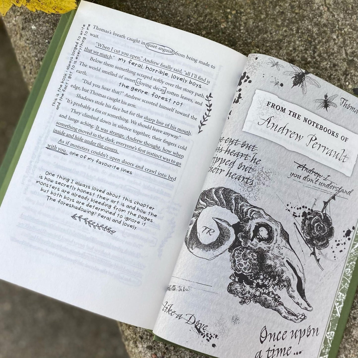 Don't Let the Forest In (B&N Exclusive Edition)