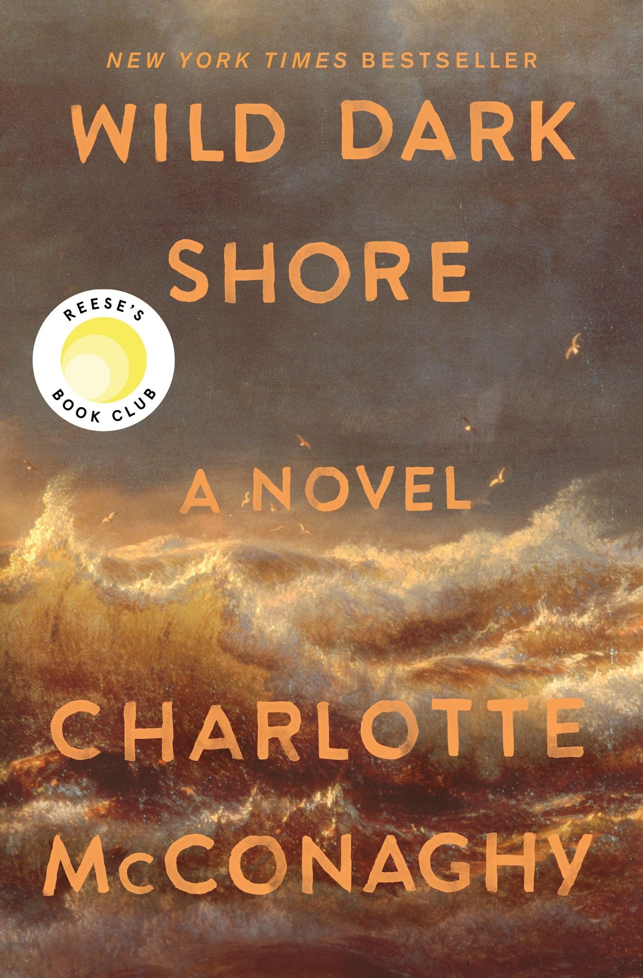 Wild Dark Shore: A Novel
