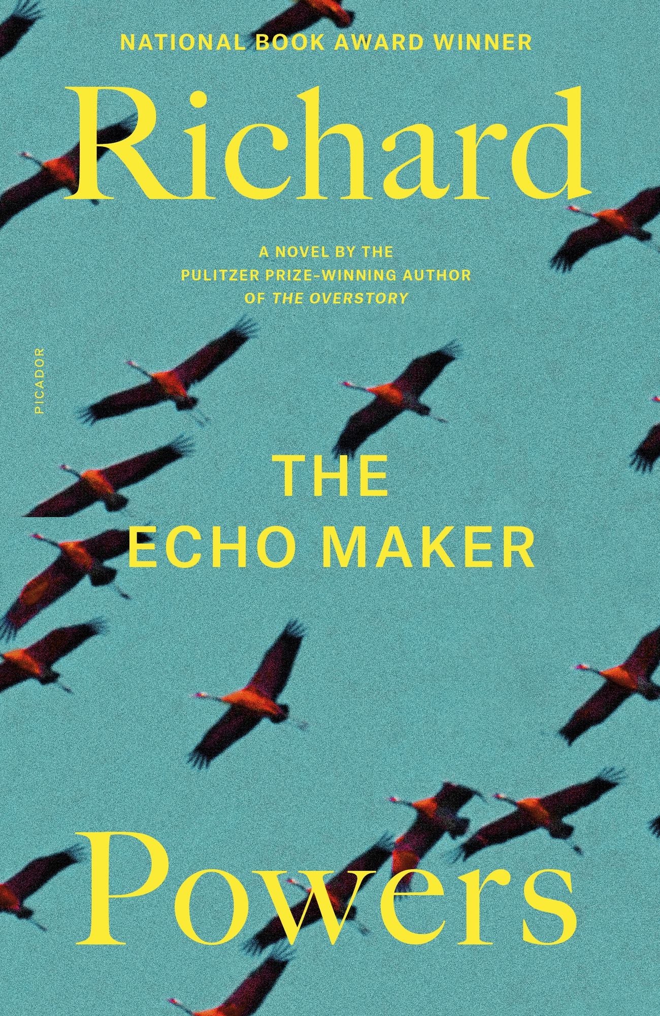 Echo Maker (National Book Award Winner)