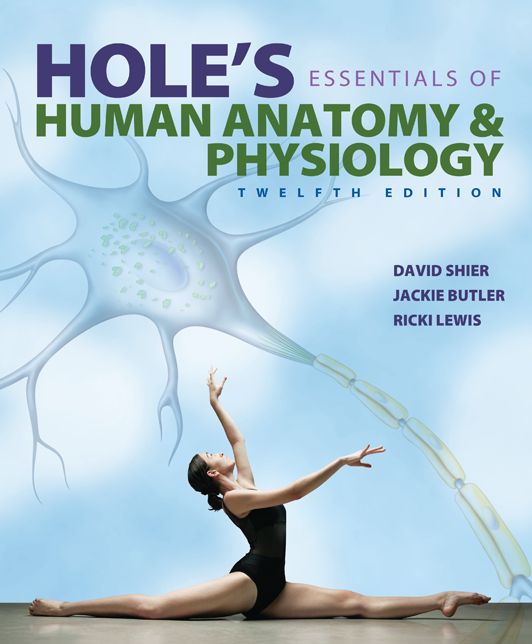 Hole's Essentials of Human Anatomy & Physiology - With Connect Plus Access