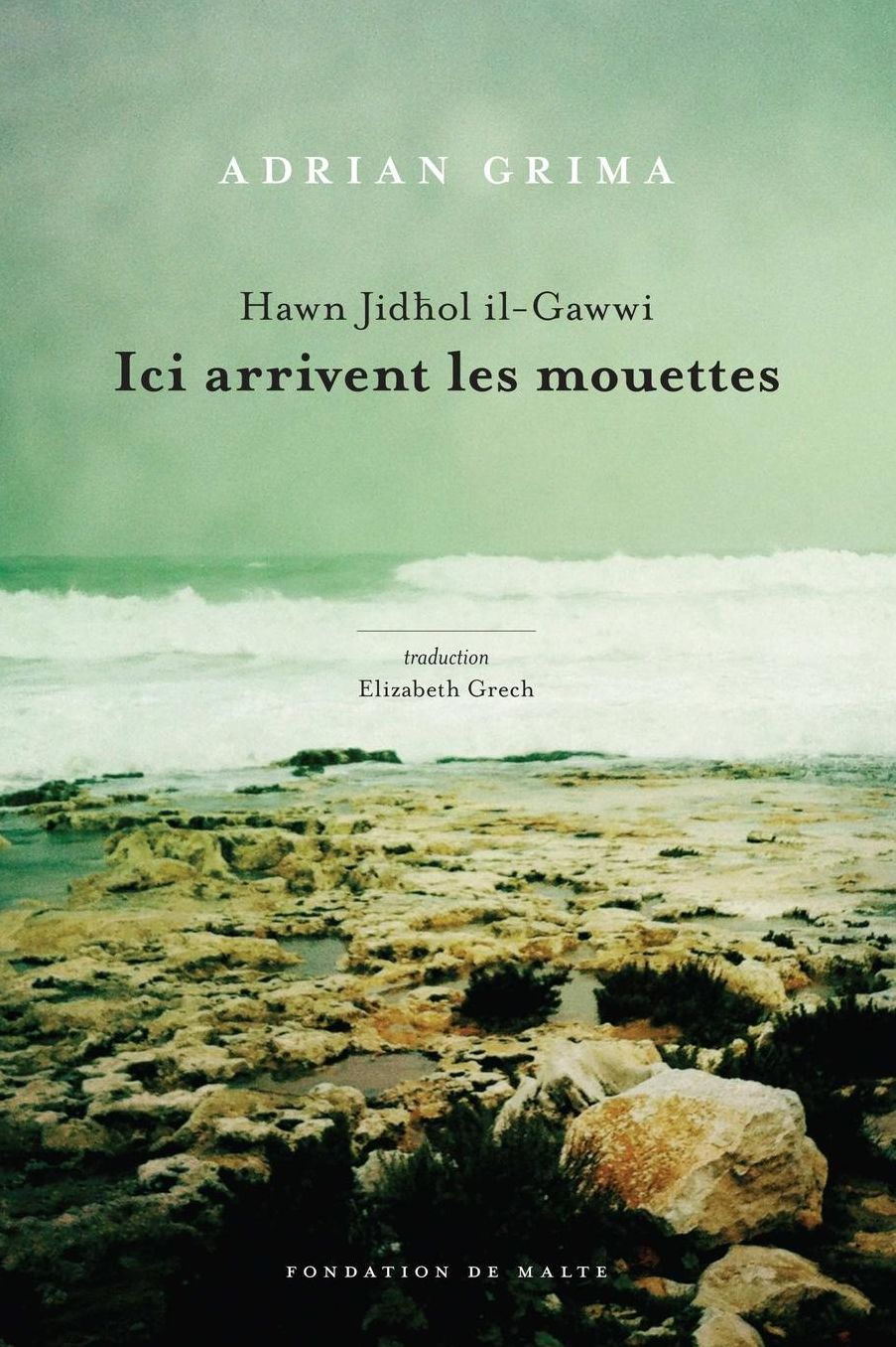 Ici arrivent les mouettes