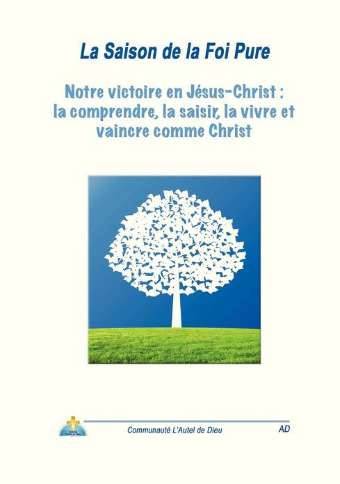 Notre victoire en Jésus-Christ: la comprendre, la saisir, la vivre et vaincre comme Christ