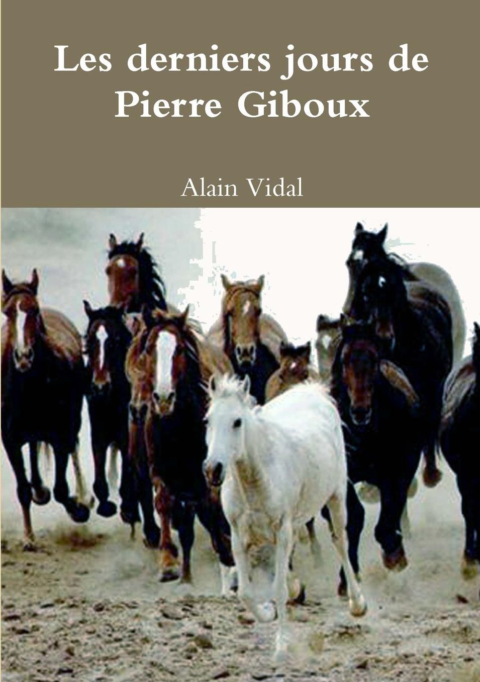 Les Derniers Jours de Pierre Giboux