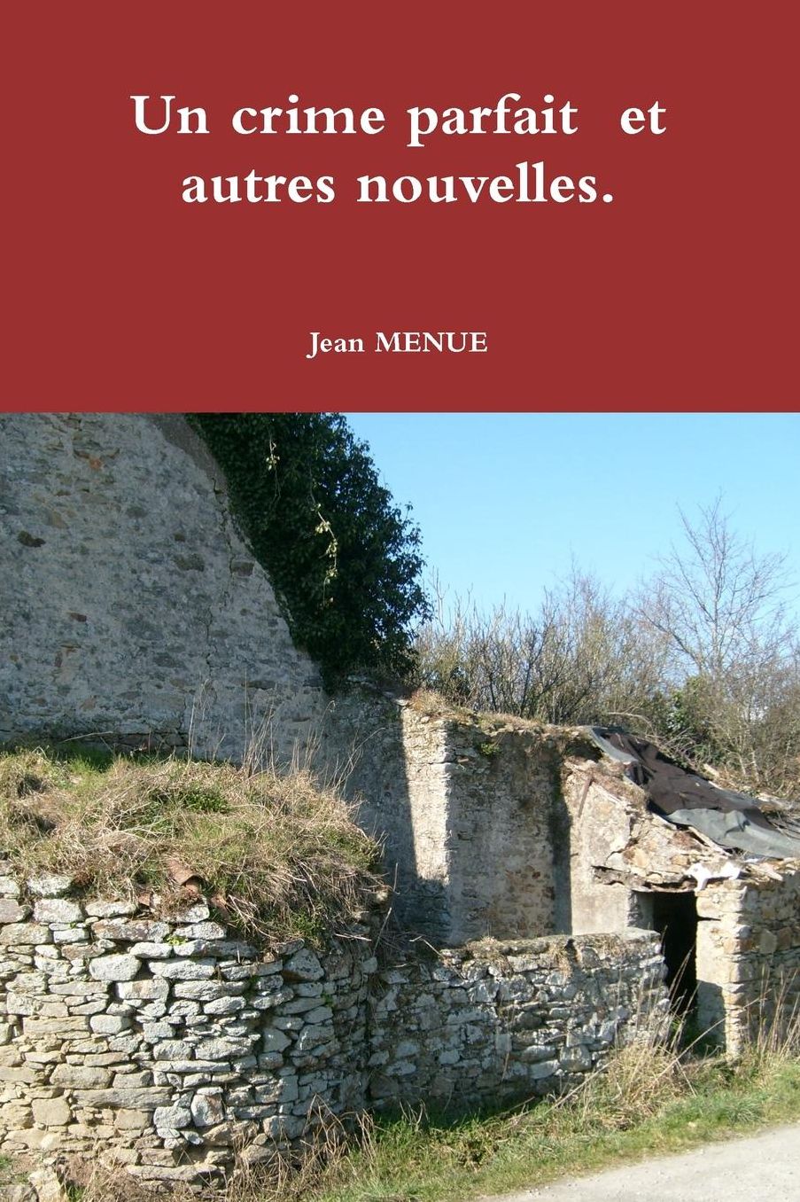 Un crime parfait et autres nouvelles.