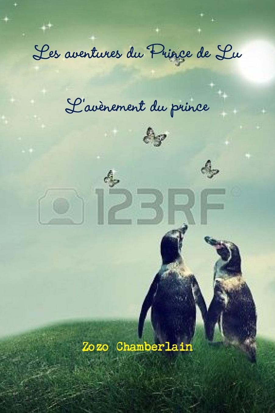 Les Aventures Du Prince de Lu: L'Avenement Du Prince