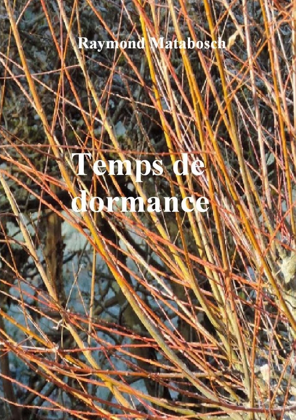 Temps de Dormance