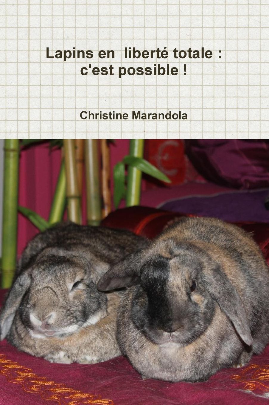 Lapins en liberté totale: c'est possible !