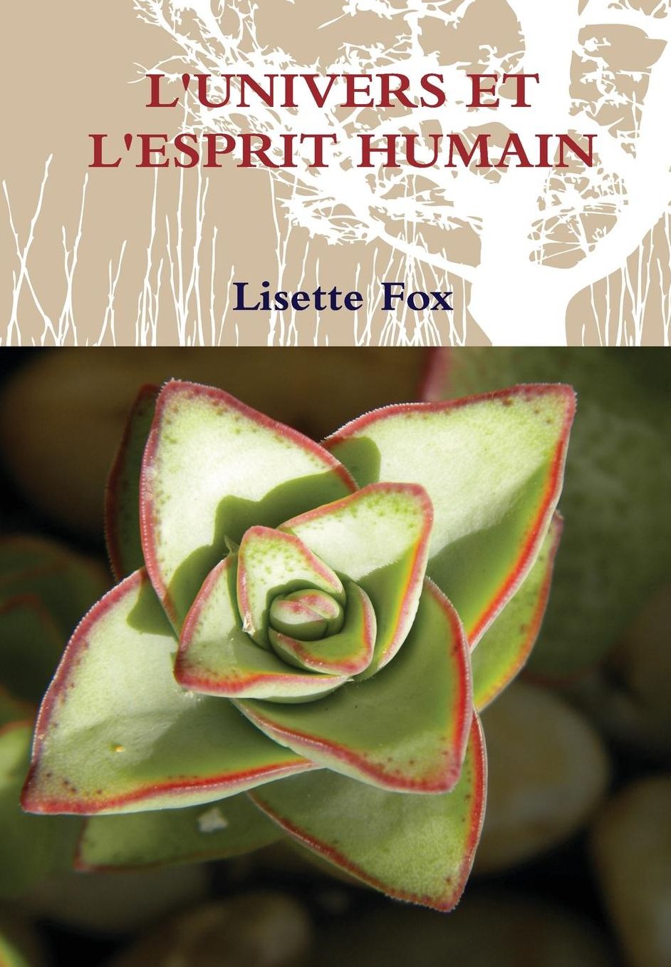 L'UNIVERS ET L'ESPRIT HUMAIN