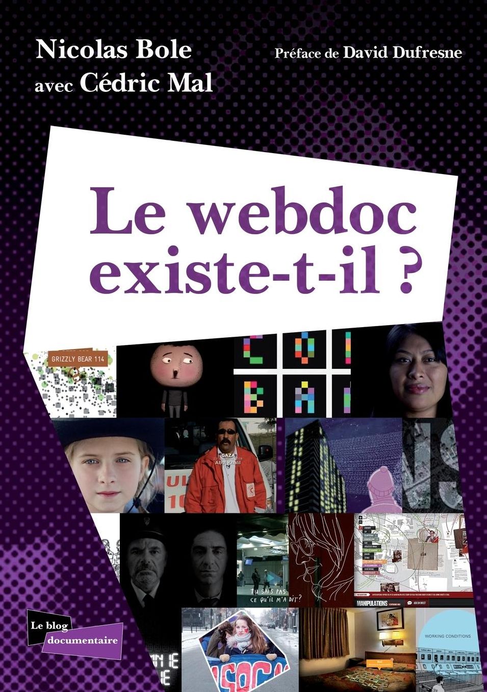 Le Webdoc Existe-T-Il ?