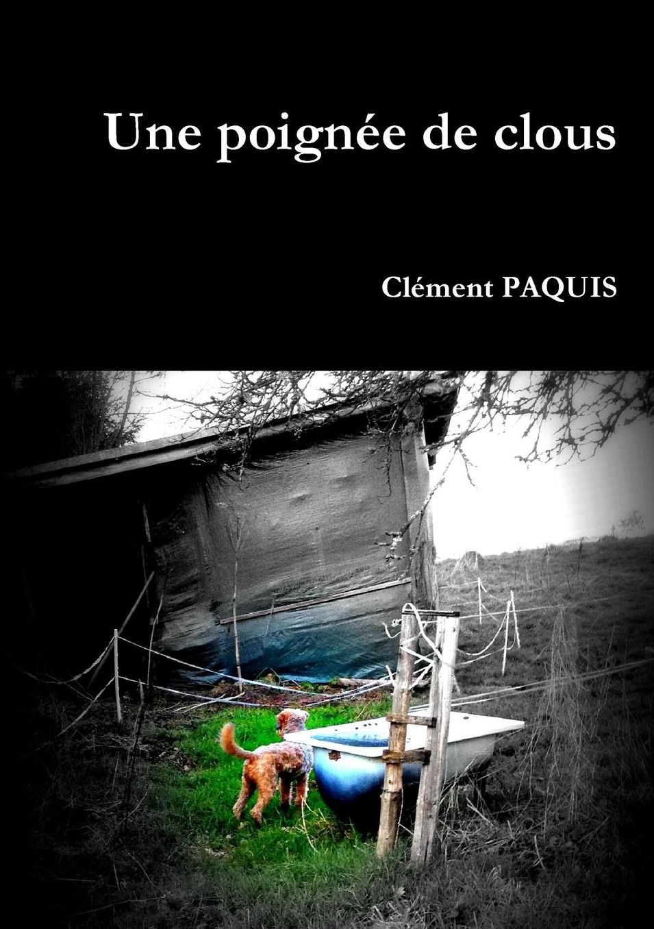 Une poignée de clous