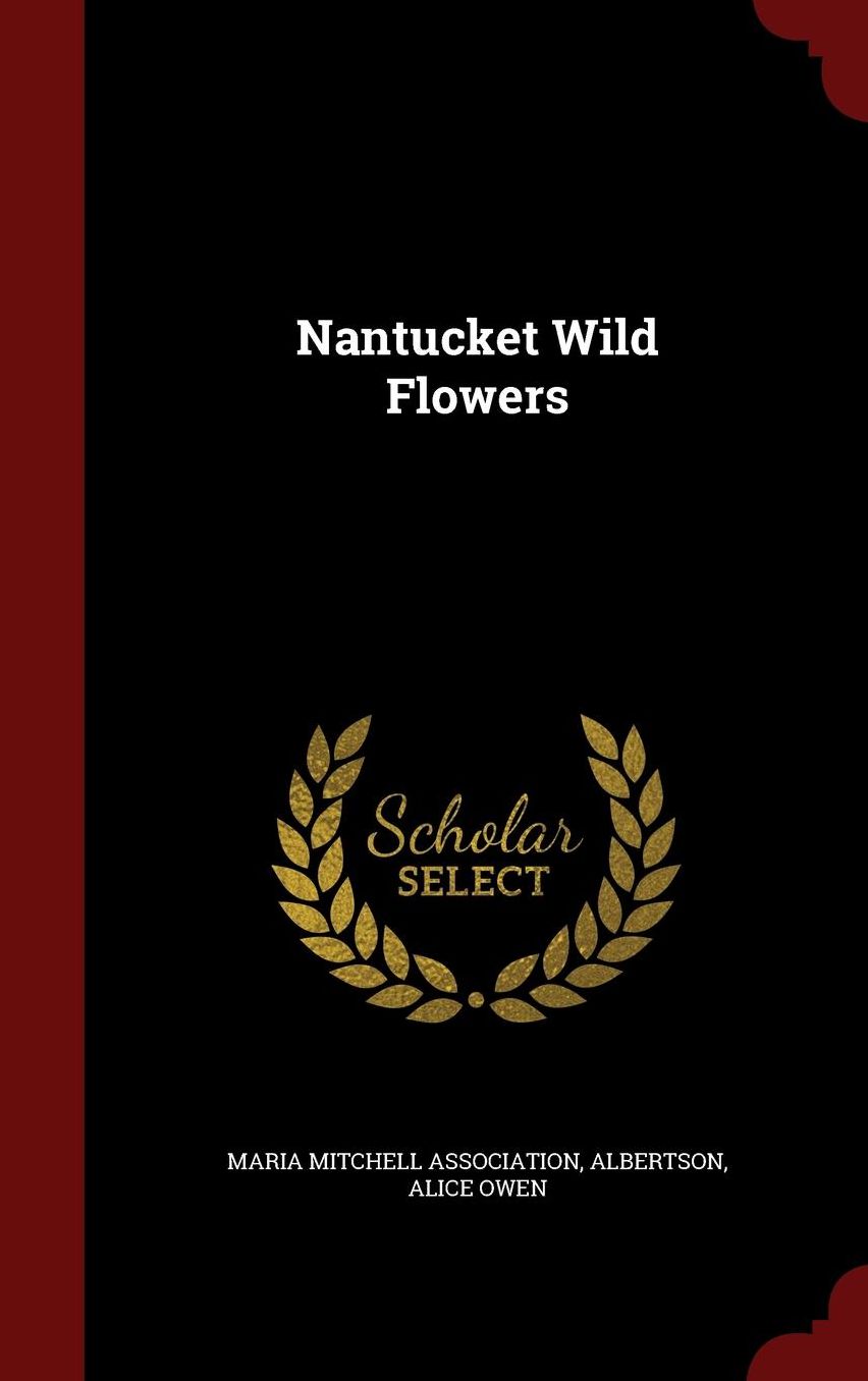 Nantucket Wild Flowers