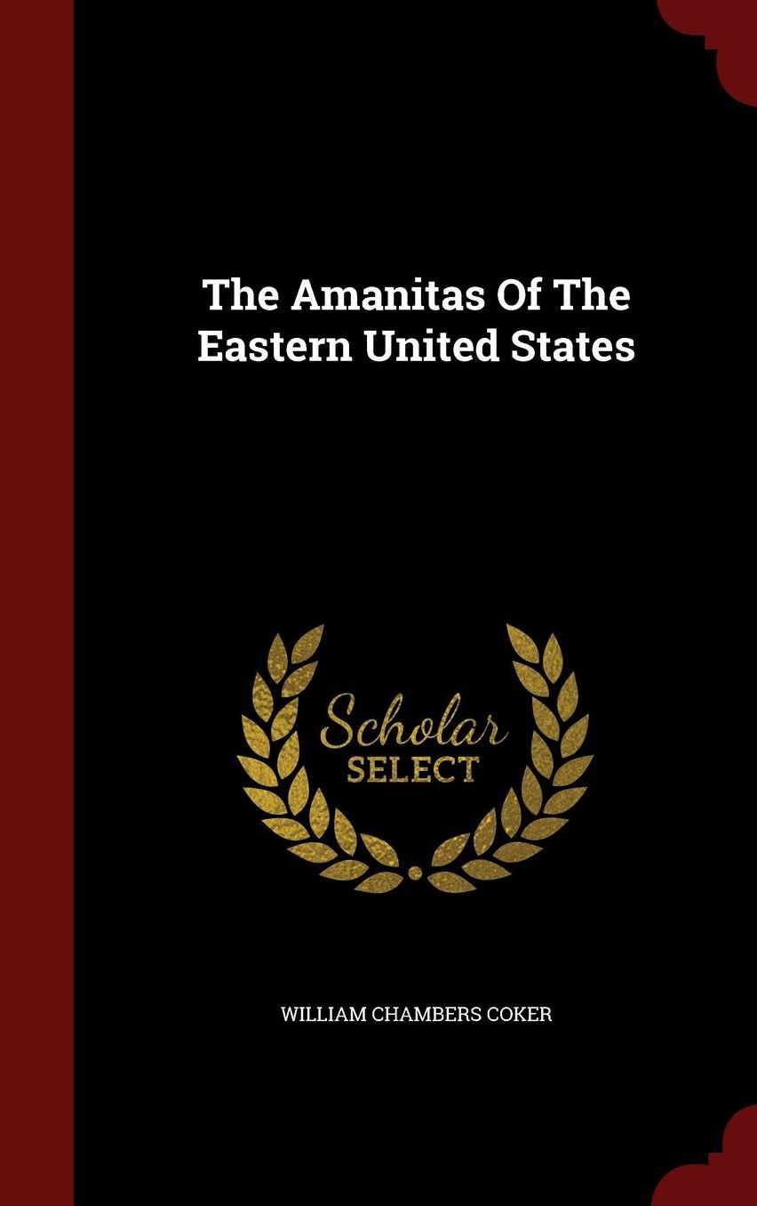 The Amanitas Of The Eastern United States