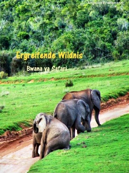 Ergreifende Wildnis