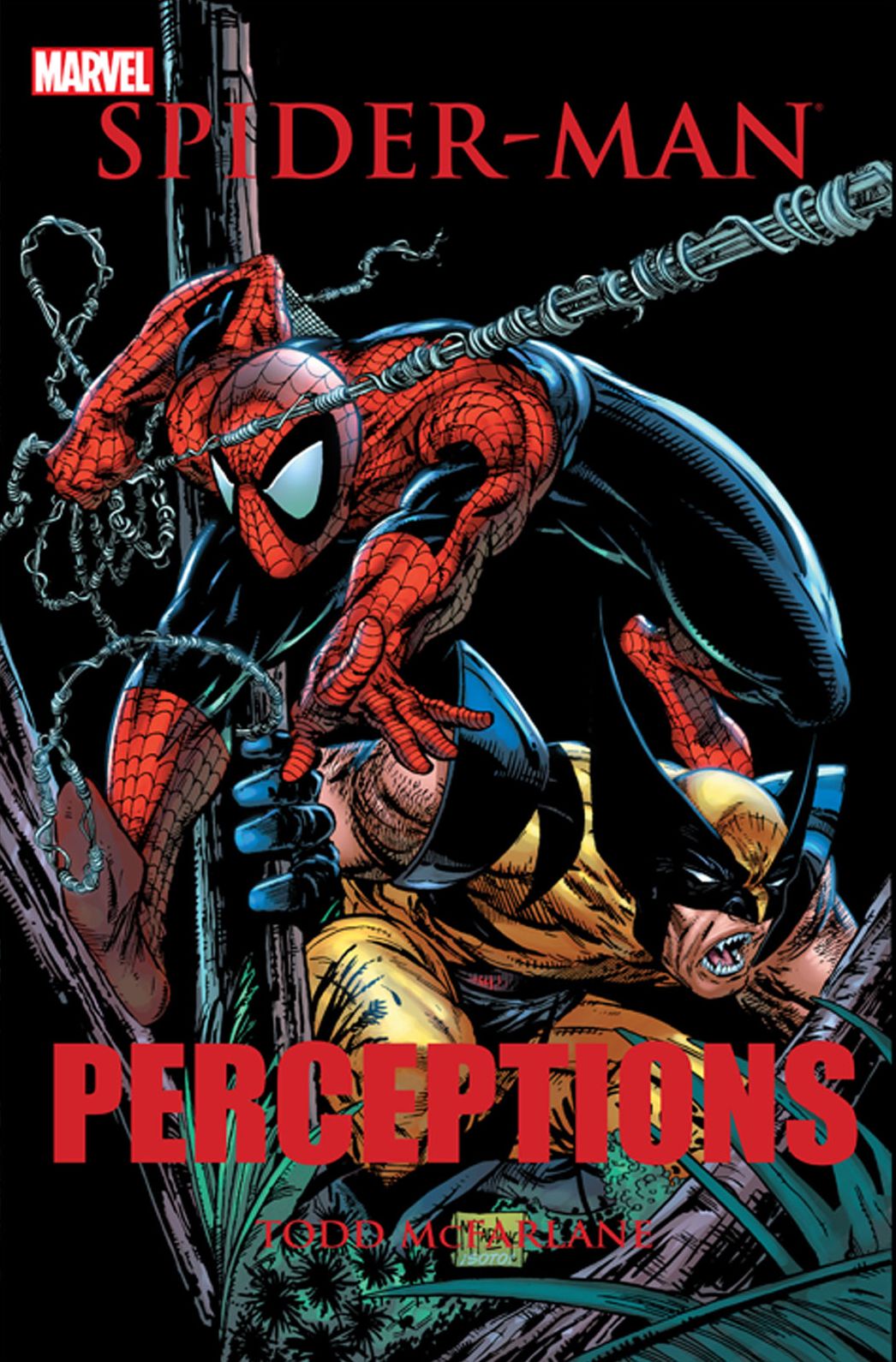 Spider-Man: Perceptions