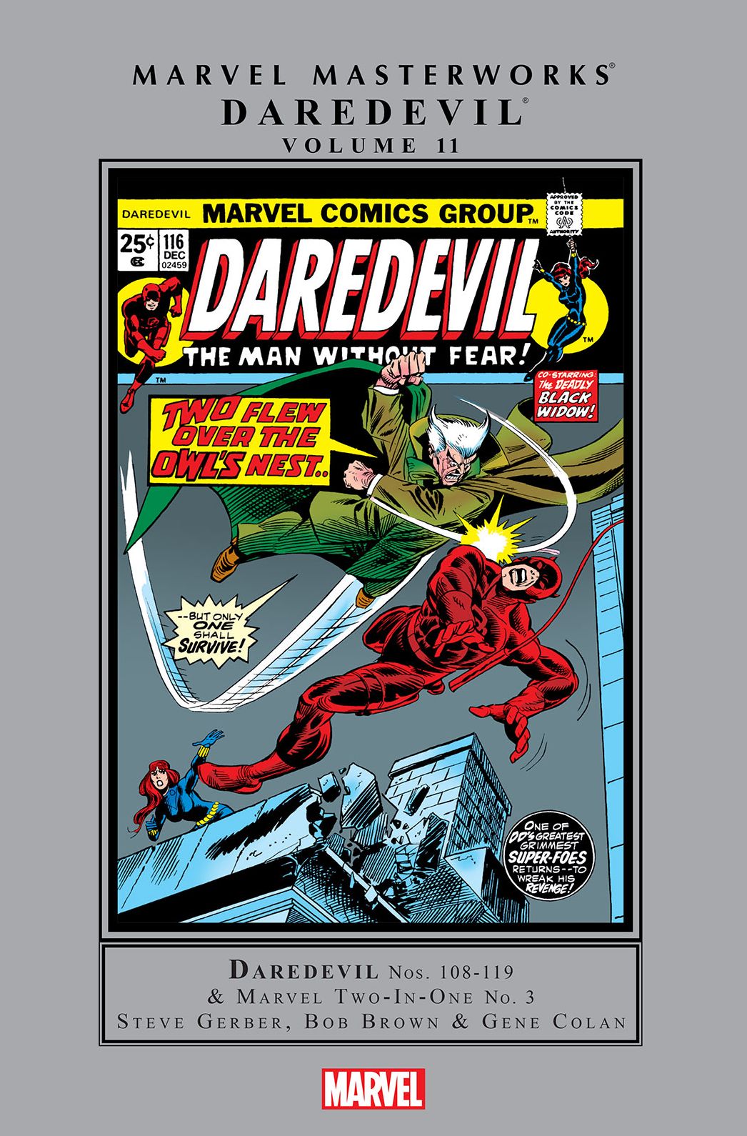Daredevil Masterworks Vol. 11
