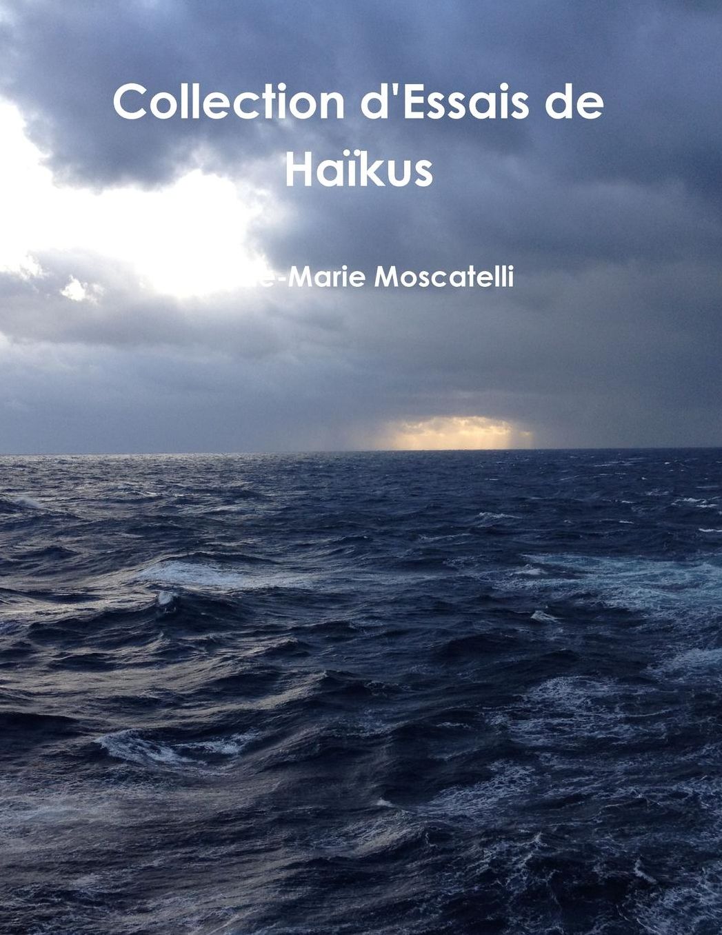 Collection D'Essais de Haikus