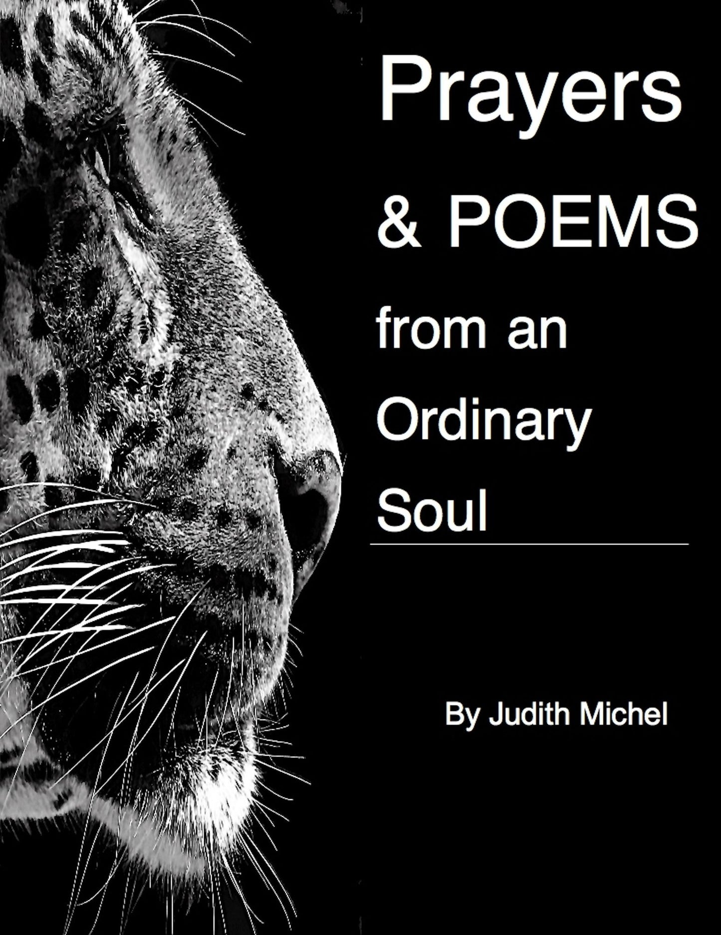 Prayers and Poems from an Ordinary Soul