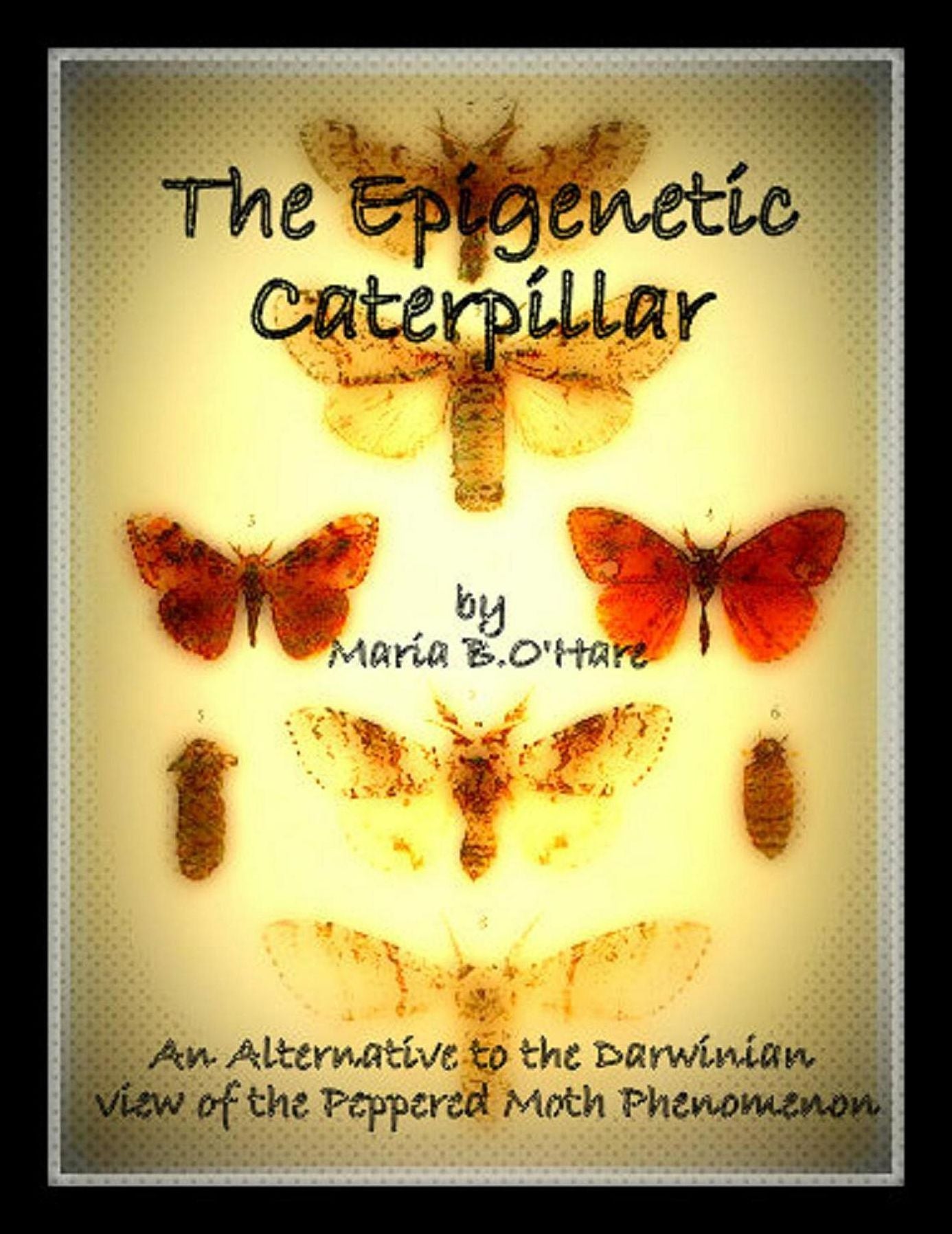 The Epigenetic Caterpillar: An Alternative to the Neo-Darwinian view of the Peppered Moth Phenomenon