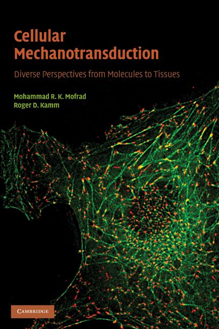 Cellular Mechanotransduction: Diverse Perspectives from Molecules to Tissues