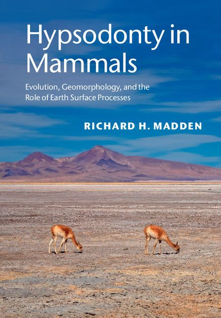 Hypsodonty in Mammals: Evolution, Geomorphology, and the Role of Earth Surface Processes