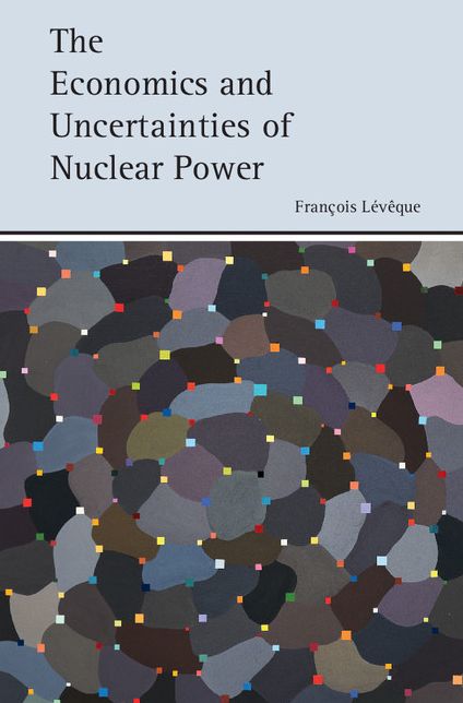 The Economics and Uncertainties of Nuclear Power