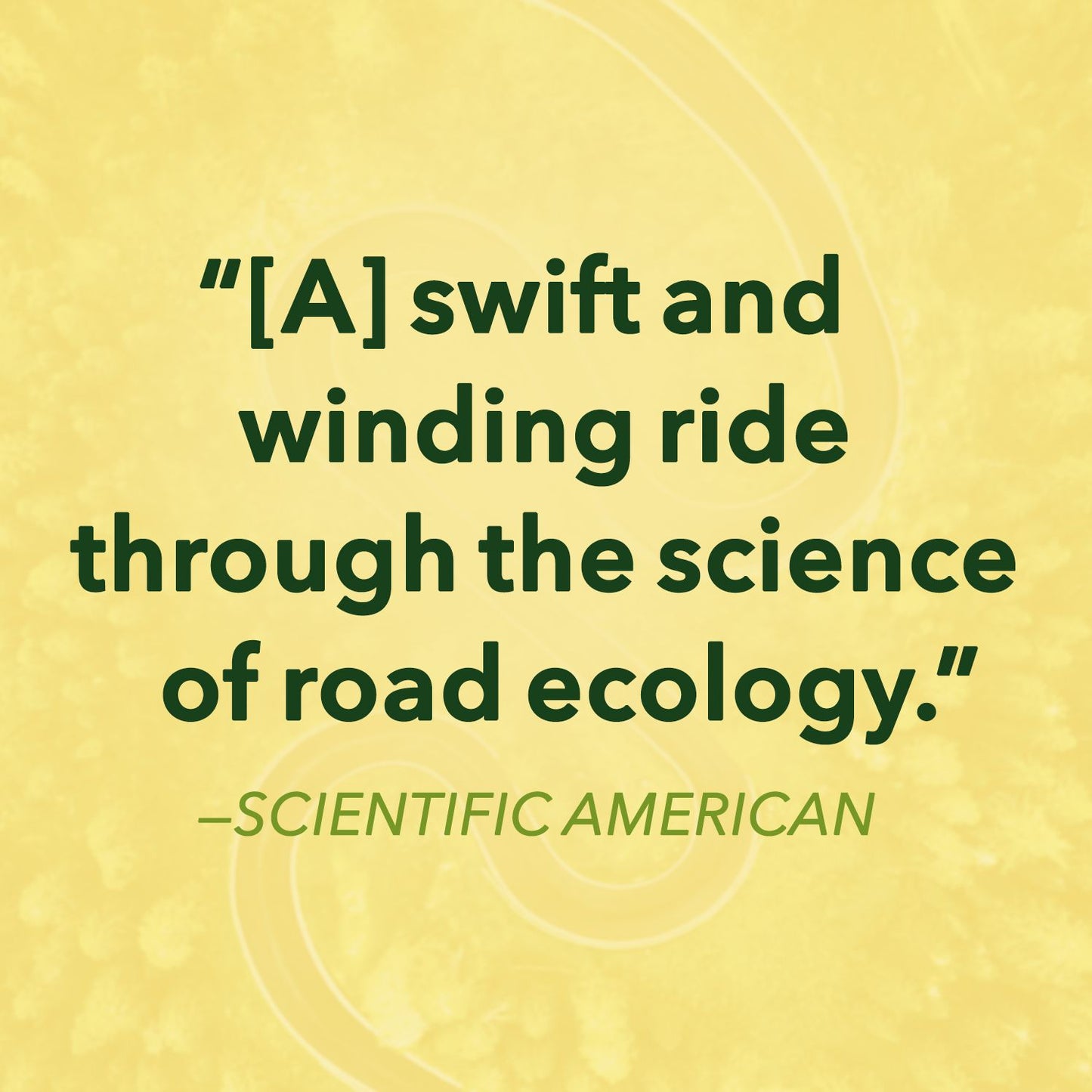 Crossings: How Road Ecology Is Shaping the Future of Our Planet