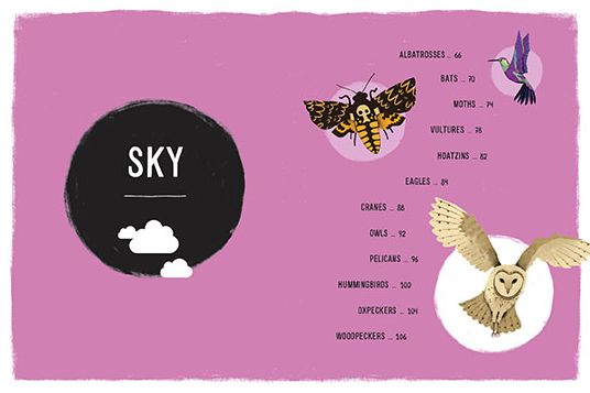 Weird, Wild, Amazing! Sky: Exploring the Incredible World in the Clouds
