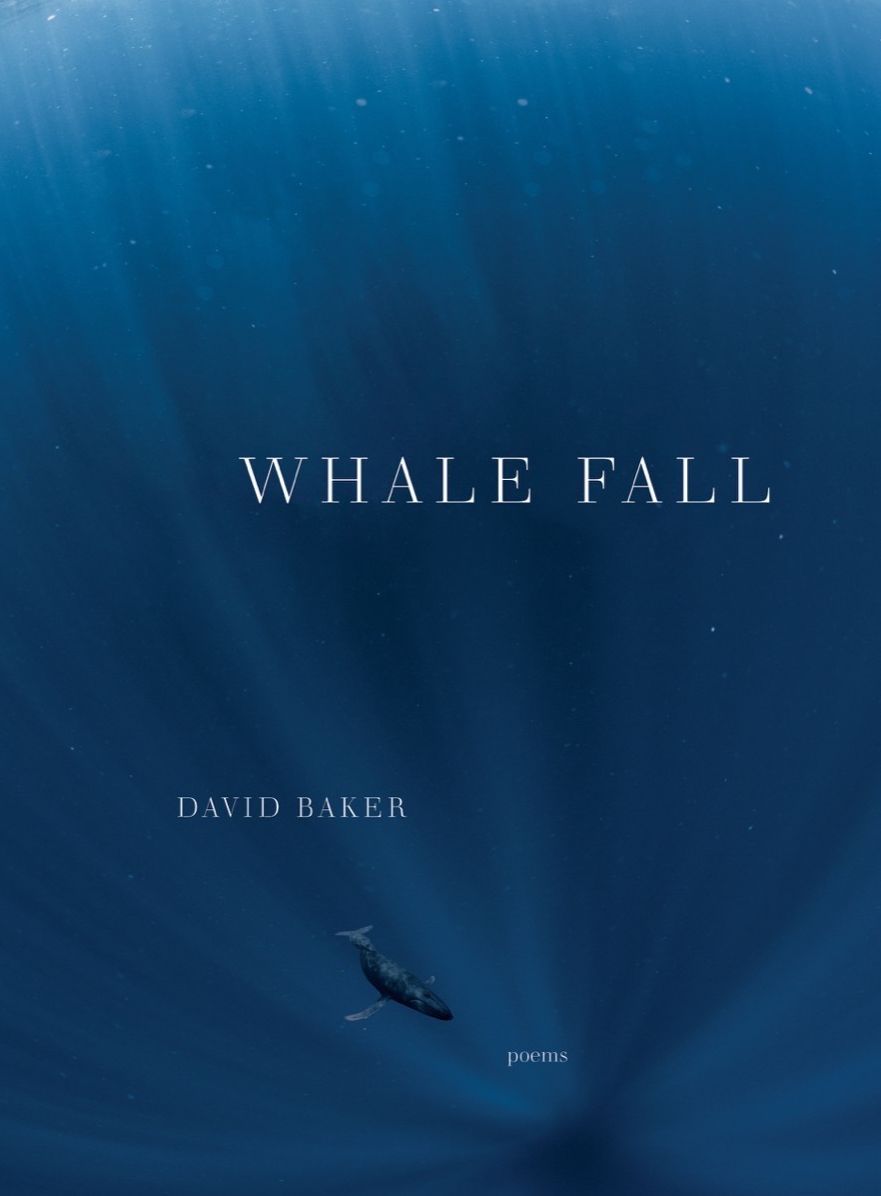 Whale Fall: Poems