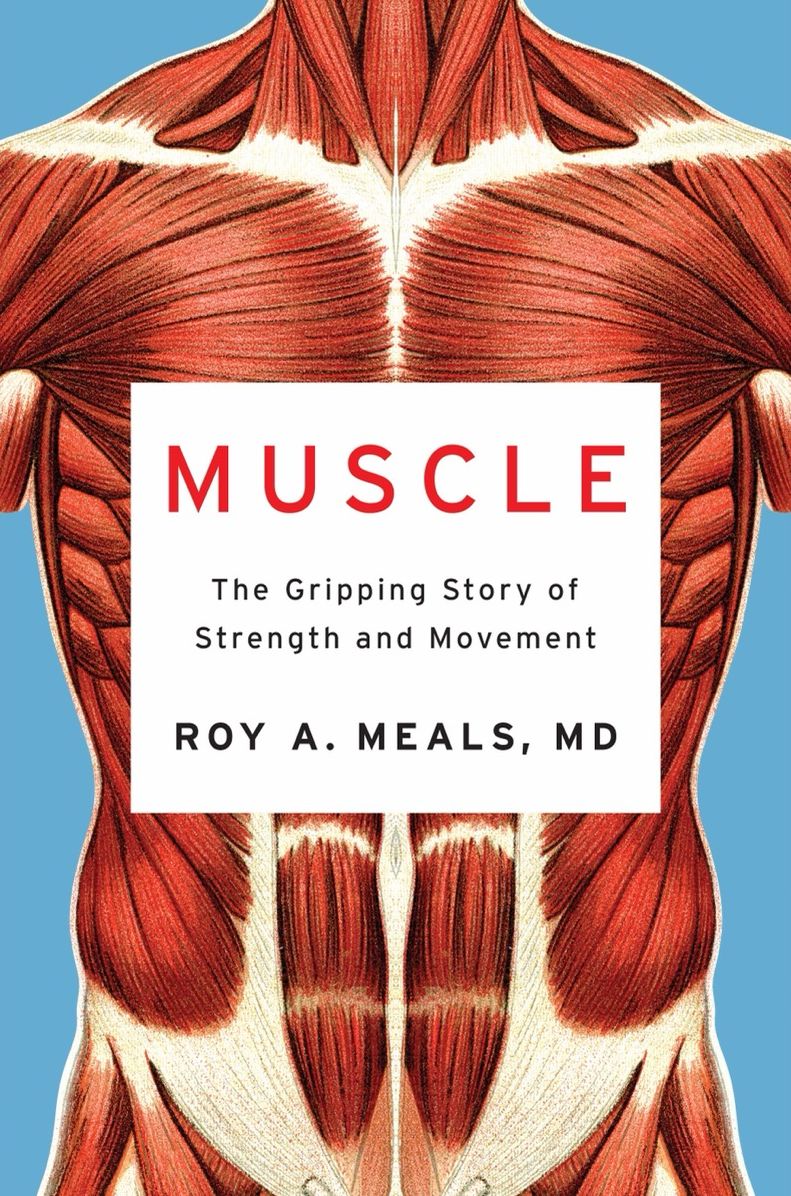 Muscle: The Gripping Story of Strength and Movement