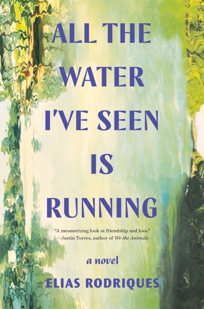 All the Water I've Seen Is Running: A Novel