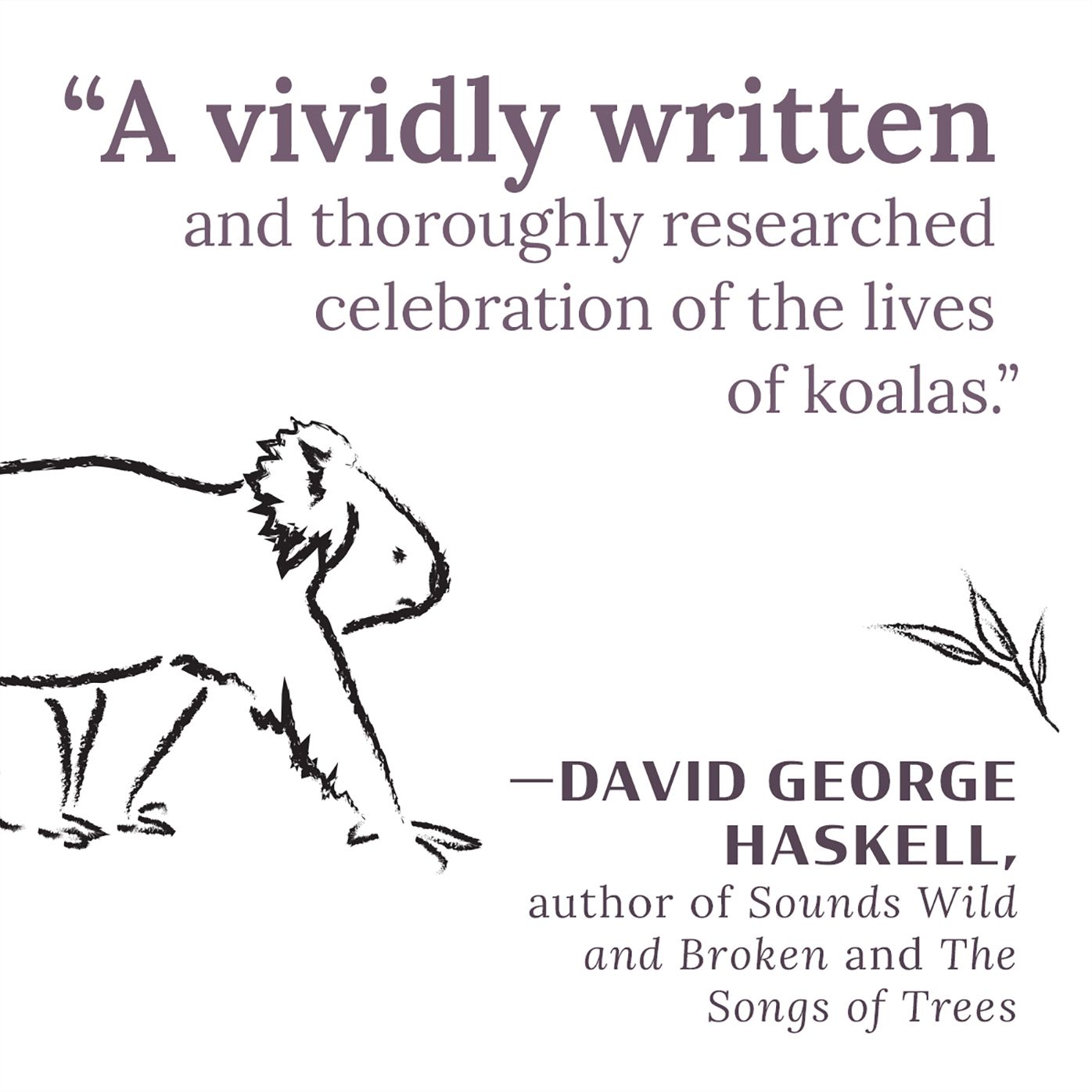 Koala: A Natural History and an Uncertain Future