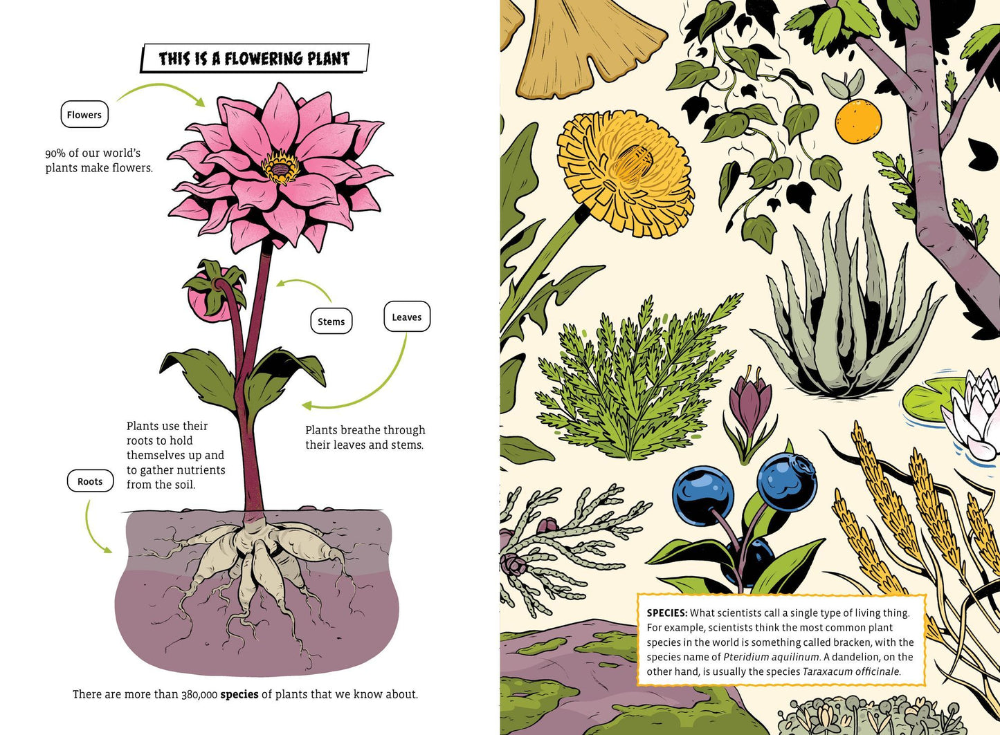 The Deadliest: Flower