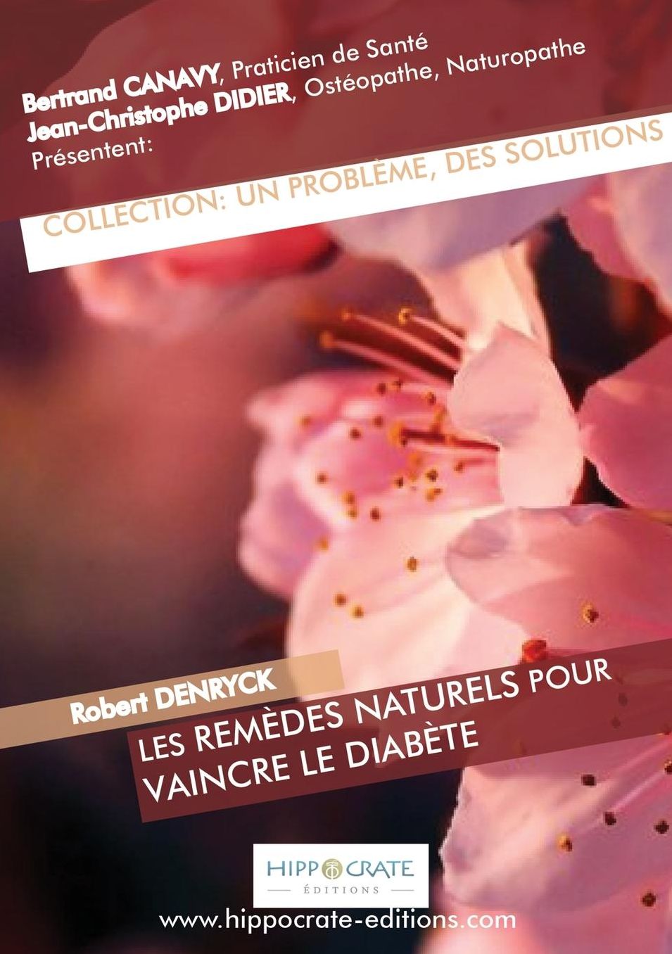 Les remèdes naturels pour vaincre le diabète