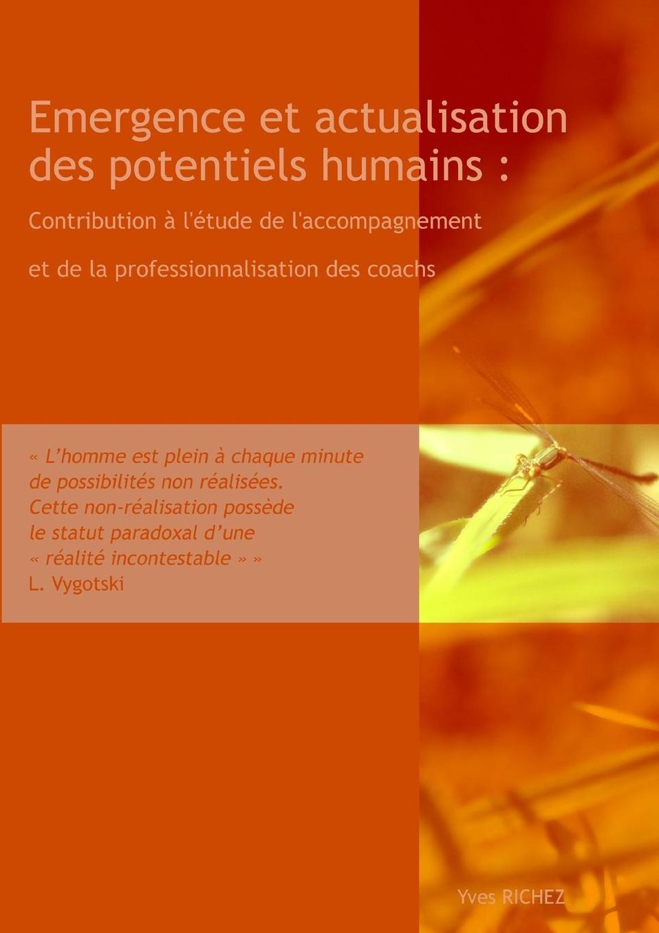 Emergence et actualisation des potentiels
